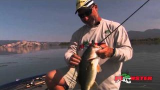 Frog Fishing with Bobby Barrack