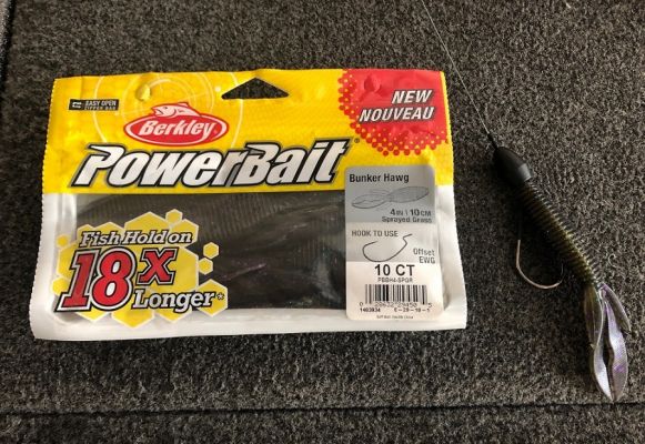 IN THE GRASS:
With the expected drop in air temperature, Romano anticipates a punch bite to be a major factor.
&ldquo;I like a 1- to &frac12;-ounce&nbsp;Reins Tungsten&nbsp;with a 4/12-inch Berkley PowerBait&nbsp;Bunker Hawg&nbsp;in the grass or the hyacinth, he said. &ldquo;I also like the 4-inch Pit Boss.&rdquo;
Romano prefers colors in the bluegill family such as Sprayed Grass or black/blue.