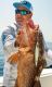DAIWA: New Powerhouse Offshore Rods