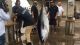 Calif anglers reel in what is believed to be the largest bluefin tuna ever caught