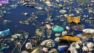 #MTBCleansUp. Help Save Our Fishing Spots!