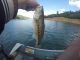 Fishing Oroville Lake | May 17