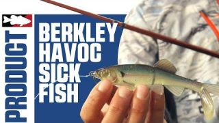 Berkley Havoc Skeet's Sick Fish Swimbait with Justin Lucas