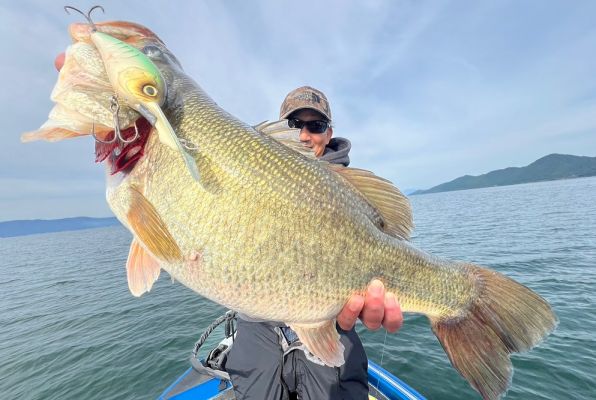 Korrigan Break 800
&nbsp;Optimum/deps dealer stores will be able to place orders starting next weekend
