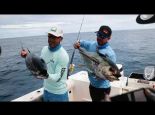 Introducing new White Yo-Zuri SuperBraid 150yd and 300yd spools