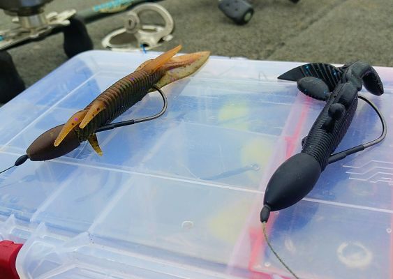 Borofka&rsquo;s Punching Baits
Jason Borofka spends a lot of time on the Delta and when he is punching, it is with either a 4.75&rdquo; Yamamoto Flappin&rsquo; Hog or the Sanshouo.
&ldquo;Not many people are punching the Sanshouo and people sometimes forget how many amphibians live in the delta,&rdquo; shares Borofka when talking about the bait that resembles a salamander or waterdog.
RELATED: Sanshouo Video