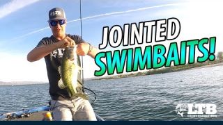 Tackle How-To: Fish Jointed Swimbaits #LTB #Seaguar #Daiwa