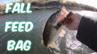 Ca Delta Bass Fishing.(Fall Feed Bag)