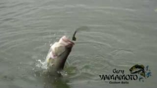 What You Fish Matters