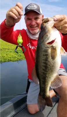 COMBAT THE FISH&rsquo;S TEMPERAMENT
Now that we understand how conditions will decide the fish&rsquo;s temperament, we need some ways to combat negative mood bites.
#1 Tempo is always a key.
Good or bad weather, tempo is key; but a low cadence is going to be the best bet in a negative mood situation. When I say slow, I mean sloooooowwww. If you think you&rsquo;re going slow enough, you&rsquo;re probably not.
#2 A smaller presentation can help get a strike.
You can either scale down to one of the smaller Snag Proof frogs or you can trim the tails for smaller profile.
#3 Other stuff can help; but always remember rule #1.
Rattles and scent can also be another way to get a frog&rsquo;s attention; but if you focused only on one thing&hellip; tempo, tempo, tempo.
&nbsp;
2018 Snag Proof Open | August 4 &ndash; 5 | California Delta | Russo&rsquo;s Marina
Presented by Best Bass Tournaments | Register Here Pros or Ams
Entry Form | Rules | Pay Online