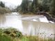 Marmot Dam Removal Aids in Salmonids Rebounding in Oregon's Sandy River