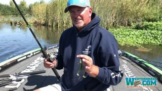 A Slow Fall Presentation for Winter Bass with Jimmy Reese
