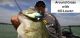 Fishing Crankbaits Around Grass with Bill Lowen