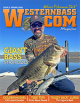 Giant Bass Strategies