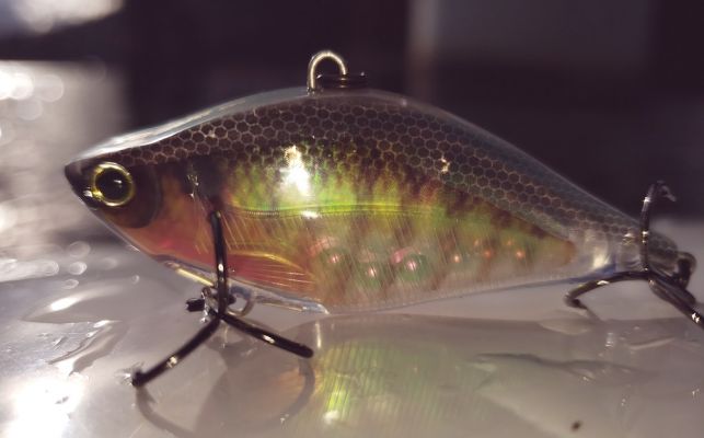 Prism
Another feature of this and other Yo-Zuri baits is the patented 3D Internal Prism. The flash of the camera in this picture shows the amazing reflection. This is incorporated to mimic the appearance of the scales of baitfish and make it look even more appealing.
&nbsp;