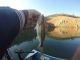 Fishing Oroville Lake This Week | October 31