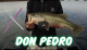 Lake Don Pedro Fall Bass Fishing VIDEO