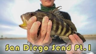 Spotted Bay Bass