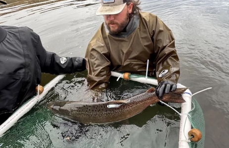 One Year After Klamath Dam Removal