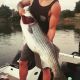 45 pound striper Sacramento river