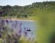 Safety behind proposal to ban personal watercraft at Camanche