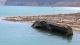 More emerging from shrinking Lake Mead