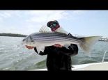 How to fish the Mag Dive