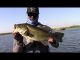 Fall Transition Topwater and Punching Action with Bobby Barrack