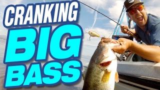Technique How-To: Crankbait Tips with Lucky Tackle Box