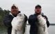 A pair of fishermen found a PAIR of trophy stripers