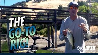 Tackle How-To: Fishing a Shaky Head Worm #LTB