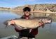 Update on Wyoming Fisheries Reports