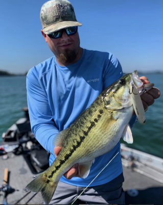 For the most part, bass become predictable during the spring of the year as they move shallow to spawn and then drop back out when they finish. The guessing game is locating where the bass will be on a given day.
FLW Pro Circuit angler Braxton Setzer uses all the clues he is given when formulating his plan. These signs could be visible bedding bass, water temperature readings, and spawning shad as they are all clues from nature for what the bass should be doing. But in general, his springtime approach is to cover his bases by fishing all depth columns to locate groups of bass.
READ RELATED: Here's What You Need to Know about the Ninja Twitch'n Glider
Topwater Time
Once bass finish spawning, a walking topwater bait is often the first thing that Sezter will pick up, and he adds that it also works well for spawning fish.
&ldquo;Right when they get done spawning, most of the fish are still going to hang up shallow for a bit,&rdquo; he said. &ldquo;This year has been an interesting one for weather, and it warmed up quickly, so bass are doing everything right now. Some are spawning, some are done, and some are focused on the shad spawn.&rdquo;
All of those situations call for a topwater, according to Setzer, and lately, he&rsquo;s been utilizing the 5&rdquo; Yo-Zuri 3DB Pencil in Bone. He fishes the jumbo topwater on a Phenix X-13 composite cranking rod and prefers 50-pound Yo-Zuri SuperBraid to handle the one-ounce bait.
He&rsquo;ll stick with the topwater as long as he can until he sees clues that he should adjust his approach.
&ldquo;The shad spawn bite can be phenomenal, but it is only the first 30-minutes or hour of the day, and it will get tougher. That&rsquo;s when I start backing out a little deeper,&rdquo; he said.
&nbsp;
&nbsp;