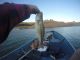 Fishing Report Oroville This Week | June 13