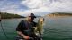 Damian Thao wins back to back at New Melones with Yak-a-Bass