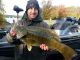 CONFIRMED: The 1906 Smallmouth Bass State Record Broken