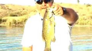 Lake Havasu Smallmouth