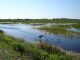 Support in Congress for Everglades Restoration as Boating/Angling Community Rallies