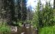 AZGFD public meetings for West Fork Black River native fish restoration project