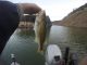 Fishing Report  Oroville LakeThis Week | September 19