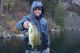 Understanding Winter Smallmouth Migration with Luke Clausen