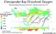 Best Ever Oxygen Levels in Chesapeake Bay