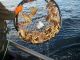 More of Commercial Dungeness Crab Fishery to Open from Point Arena to Ten Mile; One Area Still Closed