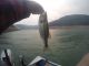 Fishing Oroville Lake This Week | Aug 3