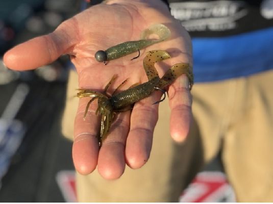 Brandon Card | Single Tail Grub
Years ago, a&nbsp;single tail grub&nbsp;was the go-to finesse offering for bass anglers. Just about everyone made one, and they caught plenty of bass. Yamamoto has long had one of the best on the market with their aptly named Single Tail Grub.
It been catching bass for decades but may have been forgotten by many anglers. The grub is not talked about as much as anglers have shifted their focus to other finesse tactics and tiny swimbaits, but&nbsp;Brandon Card&nbsp;still rigs one up often, especially when targeting smallmouth. He says the Single Tail Grub and Hula Grub are two of his best producers for bronzebacks.
Card's most productive times to fish the Single Tail Grub are during the colder months until they spawn.
&ldquo;It works all year long, but it great during the pre-spawn. I fish it the same as I do with a small swimbait,&rdquo; he shared.
He says to fish it near the bottom for best success.
&ldquo;I reel it slow enough that it is just hitting bottom every once in a while, barely ticking the rocks. You can also fish it on the bottom and drag it like a jig. I have also had some great days where you &lsquo;reel, reel, reel&rsquo; it and then let it fall on a tight line,&rdquo; he said. &ldquo;It is also an excellent spinnerbait trailer.&rdquo;
Card also pointed out that the 4&rdquo; and 5&rdquo; sizes are his favorites and that Yamamoto measures the length of the grub with the tail stretched out, so they are likely smaller in size than you may be imagining.
READ RELATED: Fishing Pre Pre-Spawn to Spawn
&nbsp;