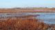 Upper Butte Basin Wildlife Area Seeks Volunteers for Cleanup and Maintenance Day