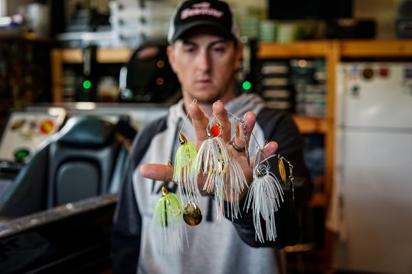 Selecting the Right War Eagle Spinnerbait for the Conditions at Hand Different Blades, Colors and Weights, All Things to Consider
Without a doubt the spinnerbait is a lure any bass angler has likely tied on and thrown.&nbsp; For some it was their first lure that their dad or grandpa rigged up for them, or that lure they saw on the rack at the tackle shop and picked out.&nbsp;
The spinnerbait although, simple in design, is a bait that has numerous variations.
Here are my top-five War Eagle spinnerbaits variations to match to the conditions.