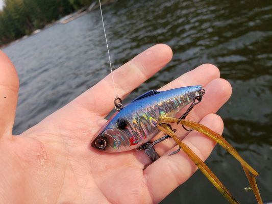 Fishing Duel Hardcore Vibe 75S
Yo-Zuri and Duel are two brands that are well known for their hard baits, and their lipless crankbaits are among their most popular offerings.
The two brands are part of the same company, and both produce excellent lures in this category. The Duel&nbsp;Hardcore Vibe 75S&nbsp;is one of them, and it has everything you could want from a lipless.
