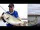 Flipping a 10 lb bass into the boat | #P-Line #Dobyns Rods