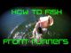 Bass Fishing: How to Fish a Front Runner